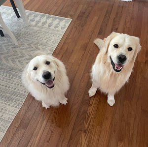 Meet your Posher, Jeffrey